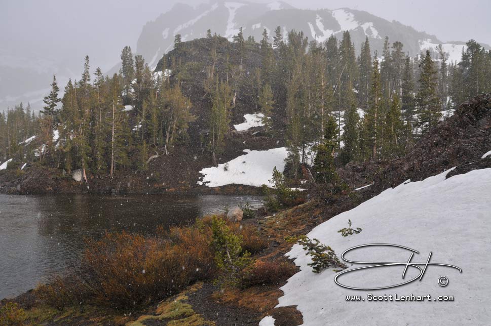 Yosemite Photos This image is available for purchase in print with or without framing, in gallery canvas or digital format. If you are interested, please include the file name(s) in an email. Please just ask...